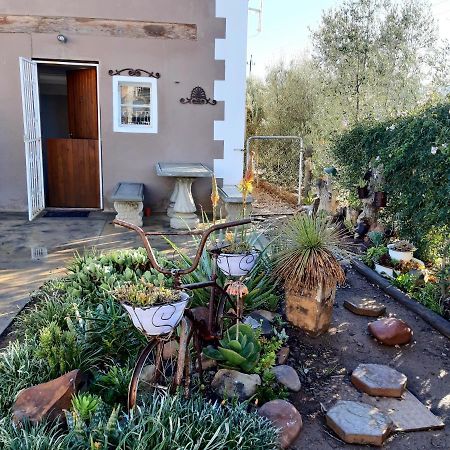 Carmel Villa B&B Or Self-Catering Calvinia Exteriér fotografie